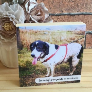 Square Memorial Dog Photo Block