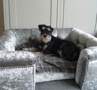 Sandringham Silver Velvet Luxury Dog Bed