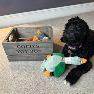 Personalised Wooden Dog Toy Box