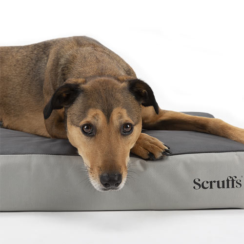 ArmourDillo Orthopaedic Dog Bed Medium Large Dogs