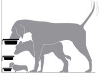 Raised dog bowl