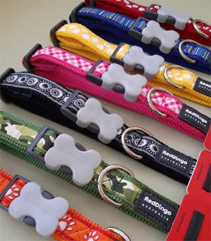 Red Dingo patterned dog collars