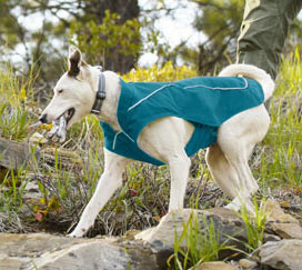 Ruffwear dog coat