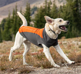 Ruffwear dog jumper