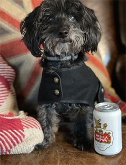 Silly Squeakers can of beer dog toy