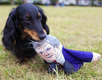Sir Keir Starmer dog toy by Pet Hates Toys