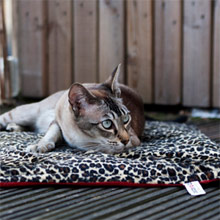 Padded Pet Blanket