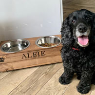 personalised wooden dog feeder bowl