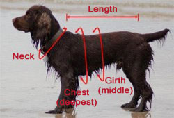 measuring guide for dog cooling coat