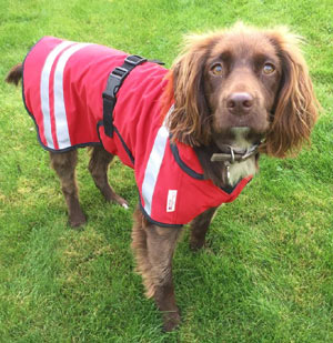 Waterproof Dog Coat | Fleece Lined | Chest Coverage