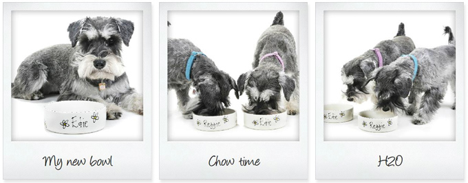 ceramic personalised dog bowls